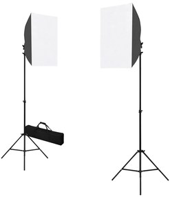 vidaXL Professionele studiolampen 2 st 40x60 cm staal zwart