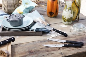 ZWILLING Steakmessensets Steakmessenset, 6-delig - Steakmessensets - ZWILLING