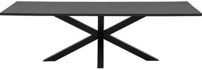 Goossens Eettafel Stone, Rechthoekig 250 x 110 cm