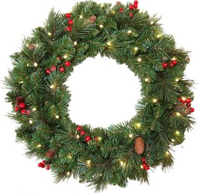 Famiflora verlichte kerstkrans"Everyday"- groen - Diameter 61 cm - 50 warm witte ledlampjes - met rode bessen&amp;dennenappels