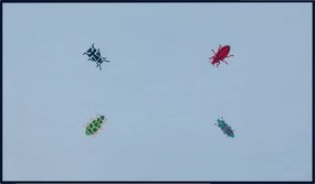 Tafelkleed Bugging You