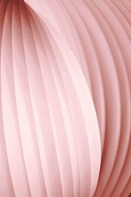 Foto Peach Pink, Christina Sillen