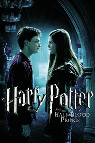 Kunstafdruk Harry Potter and The Half-Blood Prince - Ginny's Kiss