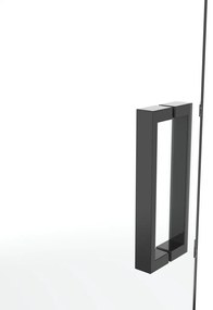 van Rijn ST02 draaideur helder glas zwart 88x200cm