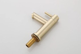 Saniclear Brass fonteinkraan geborsteld messing / mat goud