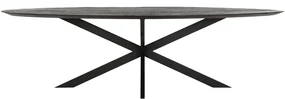 Ovale Eettafel Zwart Teakhout 280 Cm - 280 X 120cm.