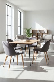 Set 4 Vint Fluwelen Stoelen