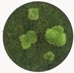 Handgemaakt decoratief mosobject Circle