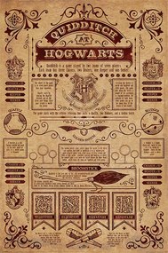 Poster Harry Potter - Zwerkbal, (61 x 91.5 cm)