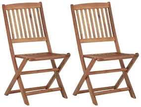 vidaXL Tuinstoelen 2 st inklapbaar met kussens massief acaciahout
