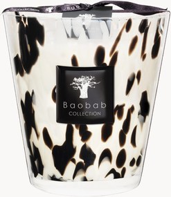 Geurkaars Black Pearls (grapefruit, gember, roos)