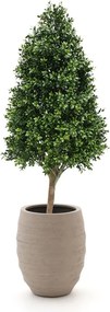 Kunstplant Designplants Luca Lifestyle | Groen Kunststof | Inclusief bloempot | ø160x42cm | Geschikt voor buiten en binnen | Kees Smit Tuinmeubelen