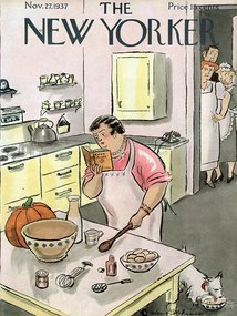 Ilustratie The NY Magazine Cover 549