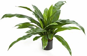Varen Asplenium kunstplant - 80 cm