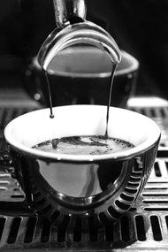 Foto Coffee 04, Pictufy Studio