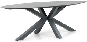 Dining Tuintafel ovaal 240 x 107 cm Aluminium/HPL Grijs Santika Ellisse