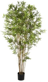 Japanse Kunst Bamboe - 180 cm