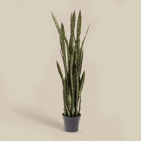 Deco Plant Vrouwentongen