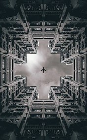 Foto Urban Jungle, andreknot