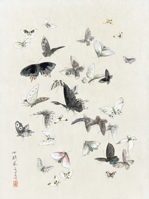 Kunstdruk Butterflies & Moths (1 of 2) - Katsushika Hokusai, (30 x 40 cm)