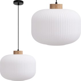 Hanglamp APP1069-CP