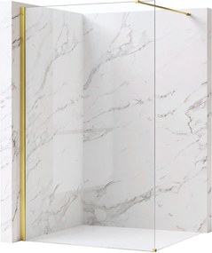 Walk-in douchewand Rea Flexi Transparent / Gold 100