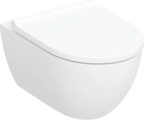 Geberit Acanto randloos hangtoilet met toiletbril wit