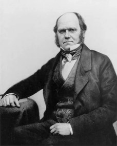 Foto Portrait of Charles Darwin, 1854, English Photographer,