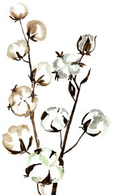 Ilustratie Watercolor cotton branches, Blursbyai, (30 x 40 cm)