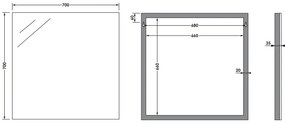 Sanituba Alu spiegel 70x65 Aluminium Geborsteld