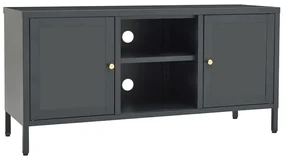 vidaXL Tv-meubel 105x35x52 cm staal en glas antracietkleurig