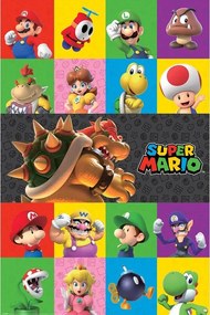 Poster Super Mario - Characters