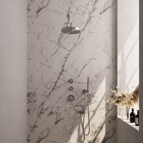 Brauer Stripe inbouw regendouche met 25cm hoofddouche, gebogen muurarm en staafhanddouche set 2 RVS geborsteld PVD