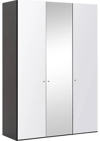 Goossens Kledingkast Easy Storage Ddk, Kledingkast 153 cm breed, 220 cm hoog, 2x glas draaideur en 1x spiegel draaideur midden