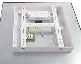 Modern LED paneel zwart 40 cm incl. LED - Liv