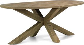 Dining Tuintafel ovaal 200 x 110 cm Old teak greywash Boston