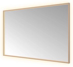 Hotbath &More Square rechthoekige spiegel 120x80cm geborsteld koper PVD
