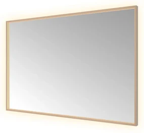 Hotbath &More Square rechthoekige spiegel 120x80cm geborsteld koper PVD