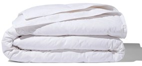 HEMA 4-seizoenen Dekbed Recycled Dons 200x200 (wit)
