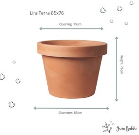 Lira Terra