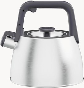 Fluitketel Leo