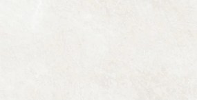 Mexen French Zilveren monster van gerectificeerd geglazuurd gres G1, vloer- en wandtegel, glans - TL173-01-S