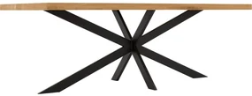 Goossens Eettafel Blade, Strak blad 200 x 100 cm 6 cm dik