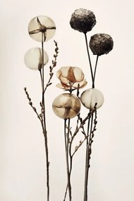 Ilustratie Glass Ball Flowers, Treechild