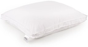 Dixxius Comfort Box Ecodown Hoofdkussen – Bij Swiss Sense