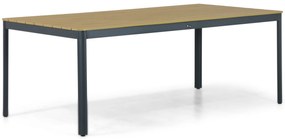 Dining Tuintafel rechthoekig 200 x 103 cm Aluminium Grijs Santika Mind