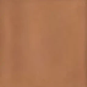 Vtwonen Tegels Chop vloertegel mattone 10x10cm terracotta