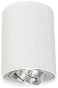 Moderne spot wit en staal draai- en kantelbaar - Rondoo up