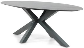 Dining Tuintafel   240 x 107 cm Aluminium/HPL/Aluminium/HPL Grijs  Santika Ellisse