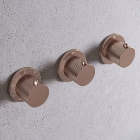 Saniclear Plus Stripes thermostaatkraan afbouwdeel geborsteld koper